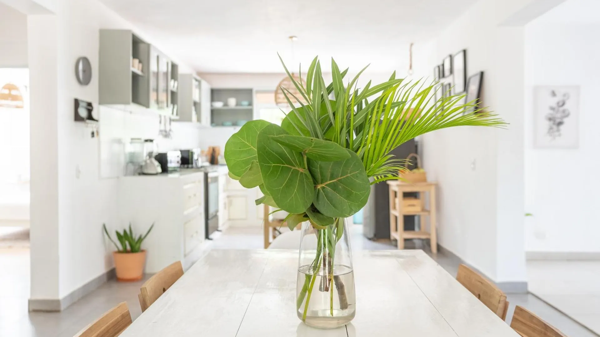 Tropical Garden Apartment With High Wifi contacts
