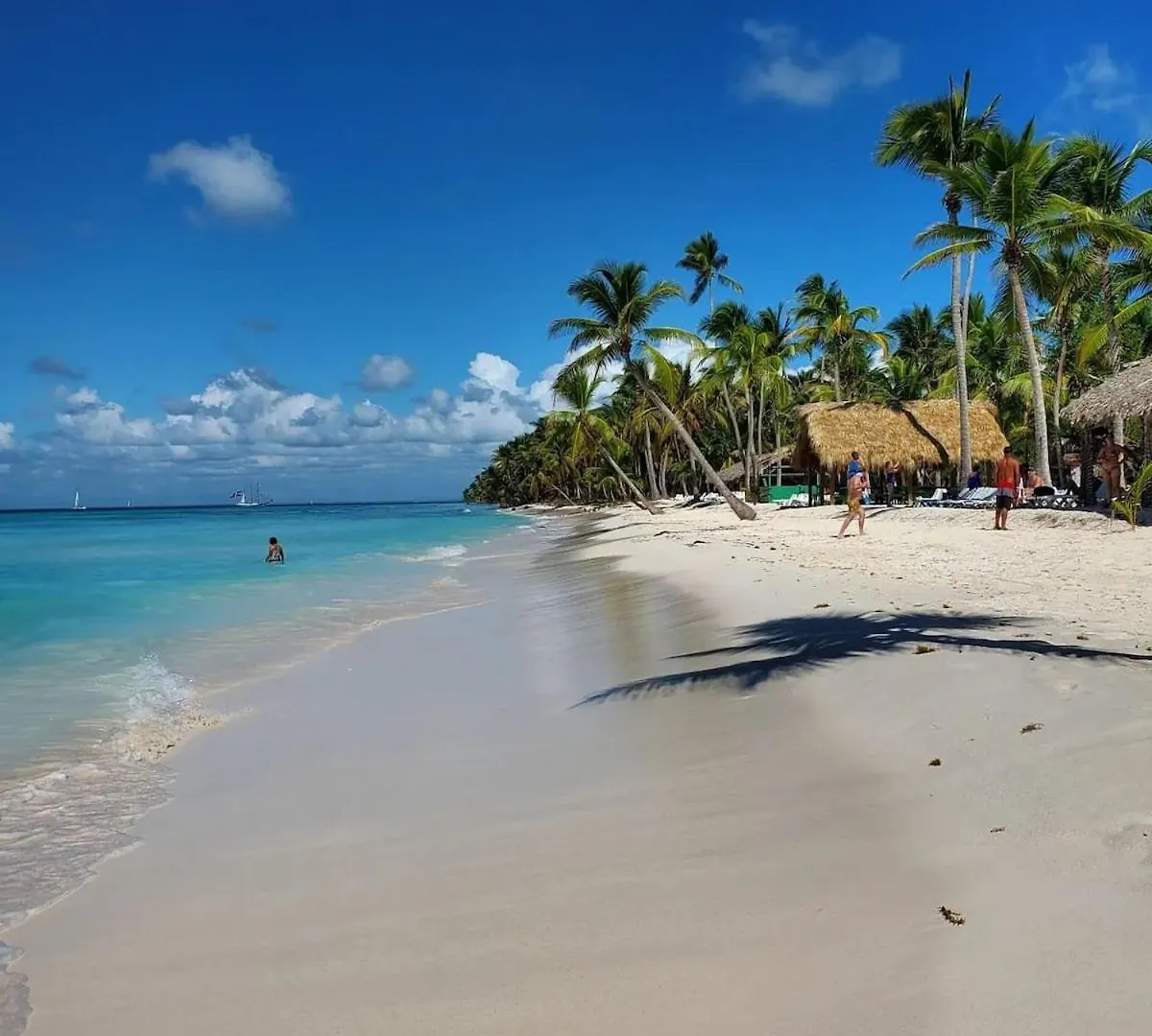 Tropical Garden Apartment With High Wifi La Romana